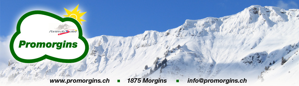 Promorgins