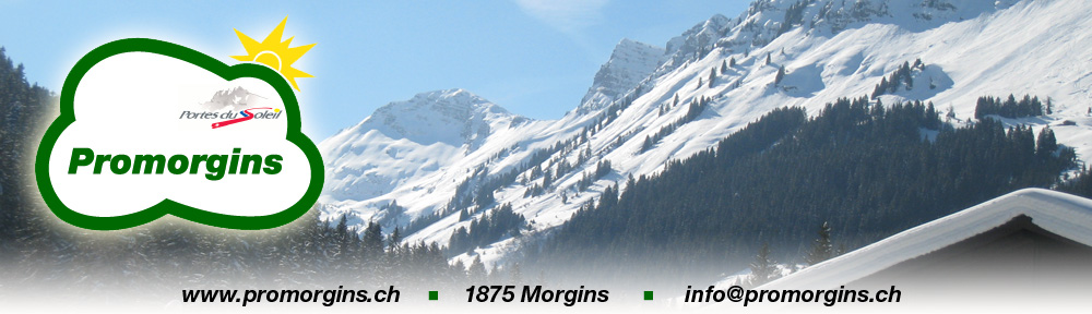 Promorgins